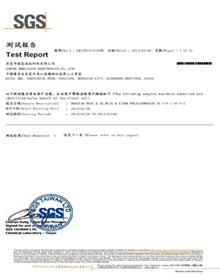 PC SGS报告